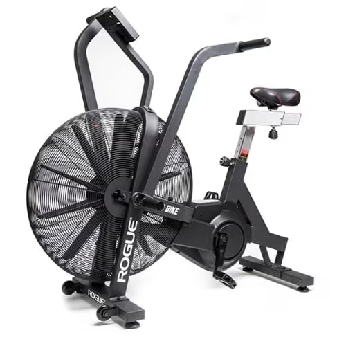 Rogue Echo Bike 3.0